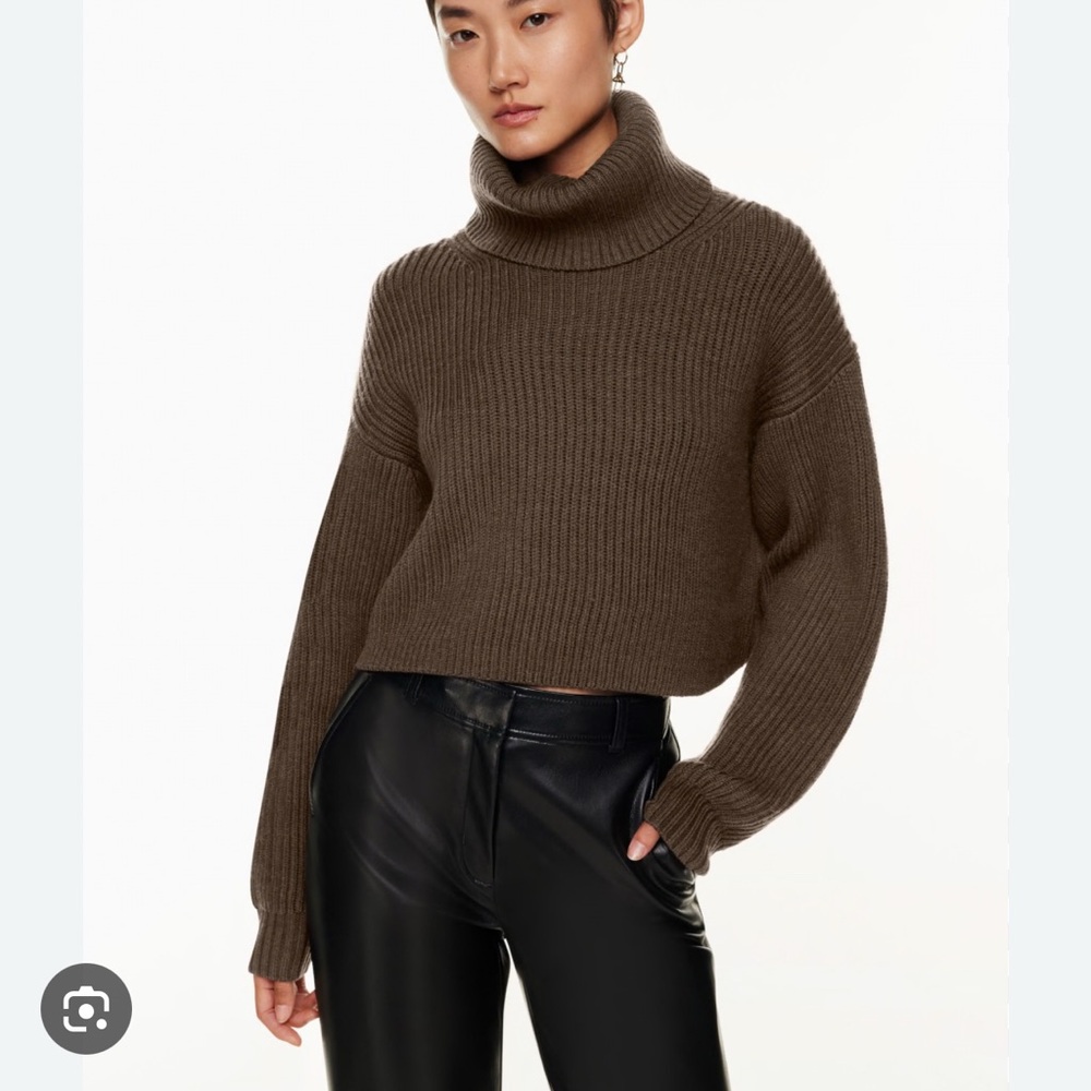 Aritzia Guell sweater